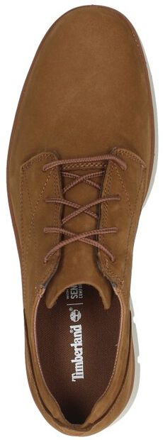 Bradstreet PT Oxford - large