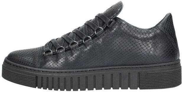 Dames sneakers - large