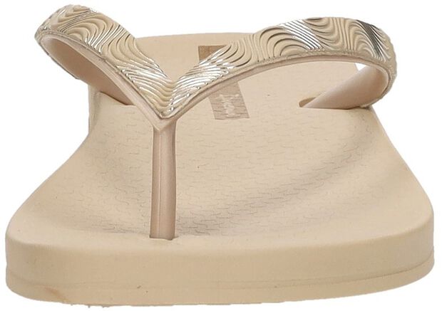 Anatomic Mesh - large