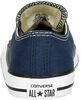 Chuck Taylor All Star - small