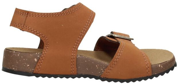 Castel Island 2 Strap - large