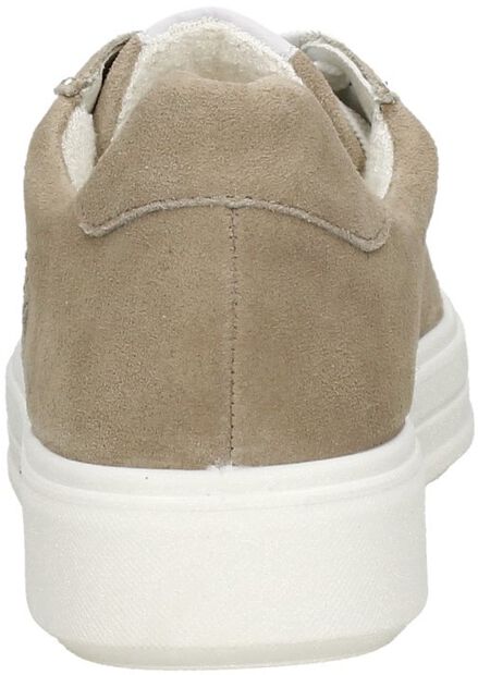 Courtyard 2.0 - large