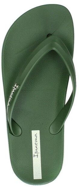 Anatomic Lapa - large