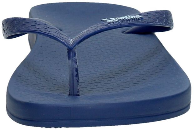 Anatomic Tan Colors - large