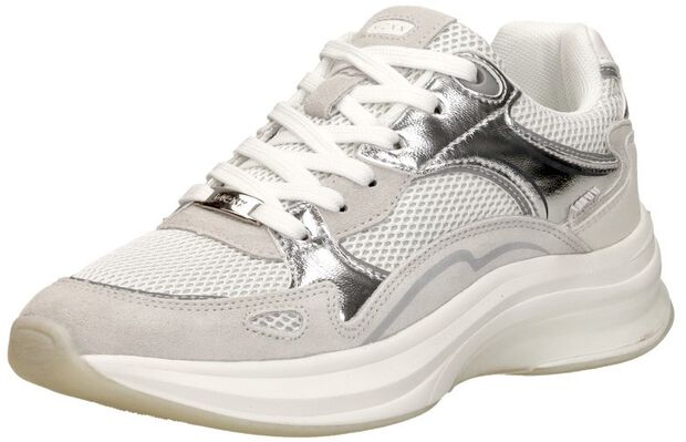 Racoon Phoeby - large