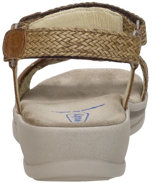 Acula Softy Wax - large