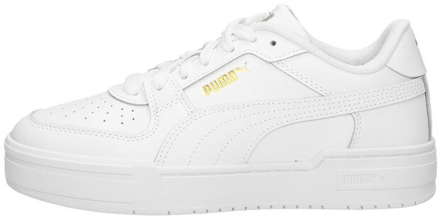 CA Pro Classic Jr - large