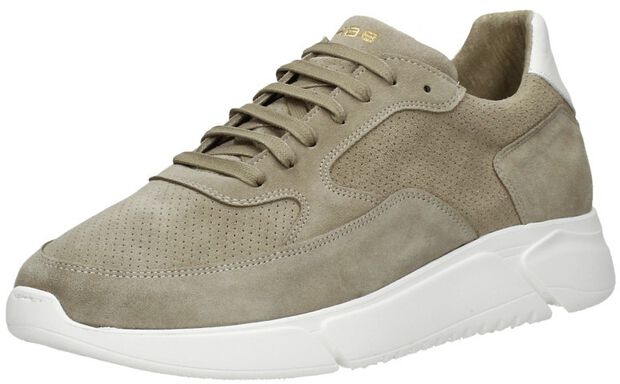 Hedley Sue Prf - large