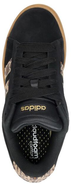 GRAND COURT ALPHA 00s - large