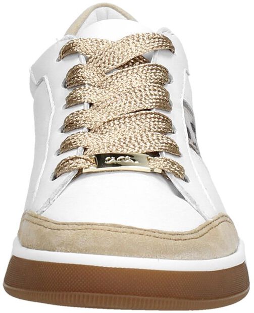 Rom Highsoft - large