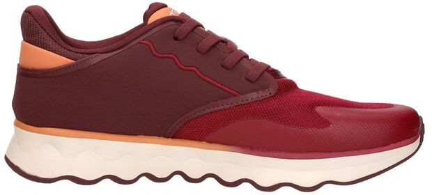 Sneakers Laag - large