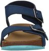 Castle Island 2 Strap - small