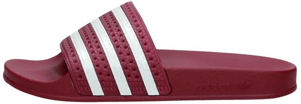 Adilette - large