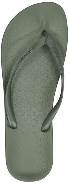 Anatomic Colors - large