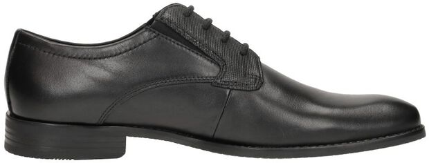 Rinaldo Comfort - large