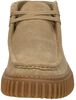Torhill Hi - small