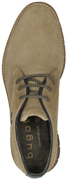 Sammy Comfort - large