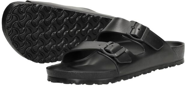 Arizona Essentials - large