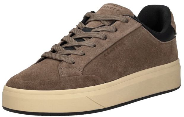 Derby Classic - large