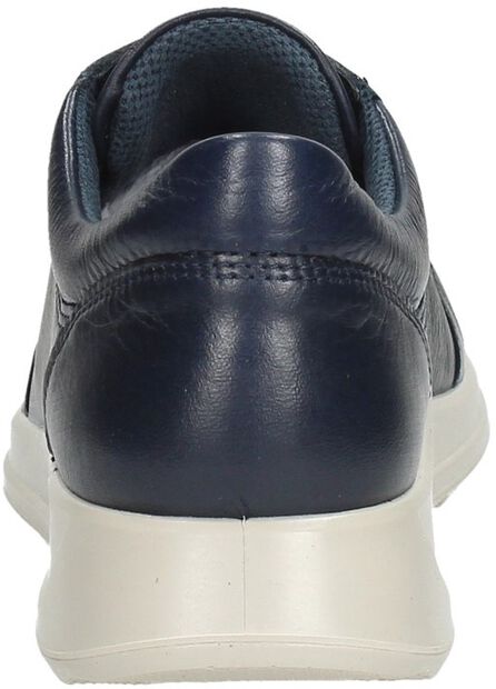 Flexure Runner W - large