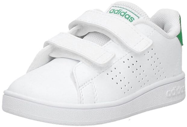 Advantage CF I - large