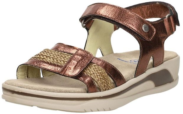 Fantom Elite - large