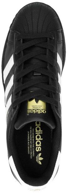 Superstar Foundation - large