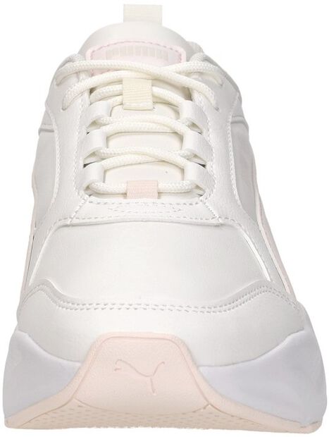 Cassia 2.0 L - large