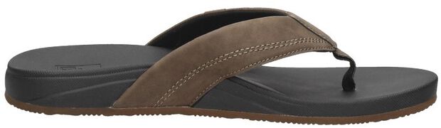 Cushion Spring - large