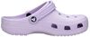 Classic Clog - small