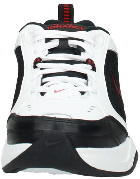 Air Monarch IV Training - large