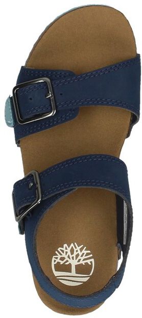 Castle Island 2 Strap - large