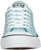 Chuck Taylor All Star - small