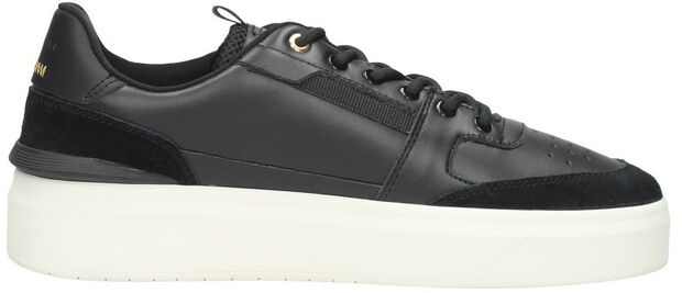 Endorsed Tennis - large