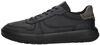 Move sneaker - small