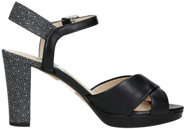 Kendra Petal - large