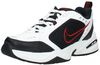 Air Monarch IV Training - small