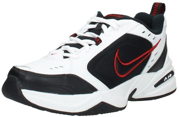 Air Monarch IV Training - large