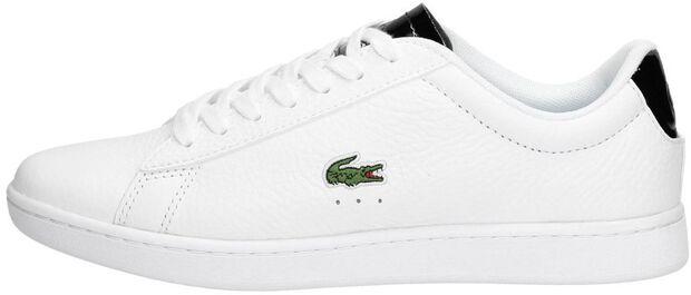 Carnaby EVO 220 - large