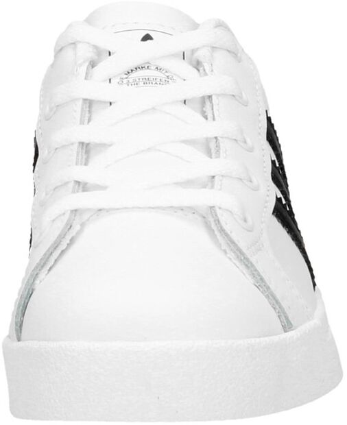 Coast Star C - large