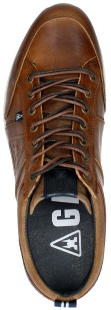 Bayline DBS M - large