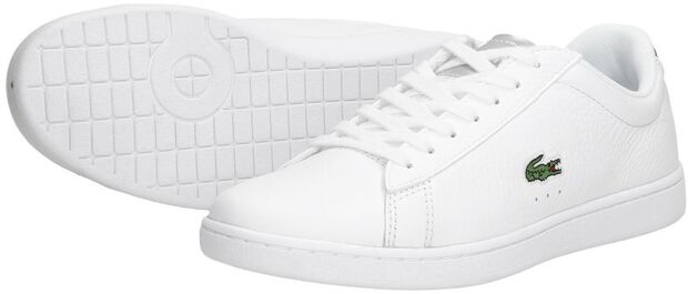 Carnaby EVO 220 - large