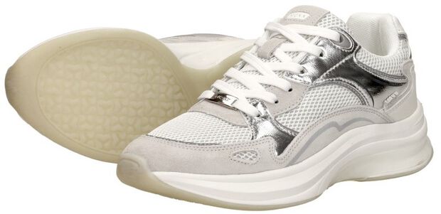 Racoon Phoeby - large