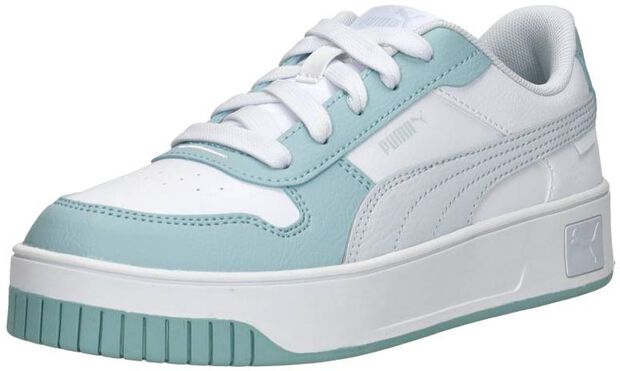 Carina Street PS - large