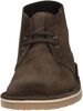 Bushachre 3 - small