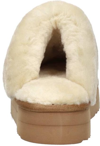 Flurry Plateau - large