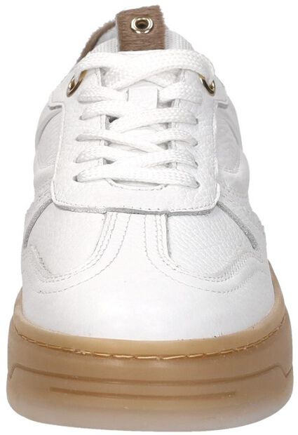 Sneakers Laag - large