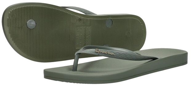 Anatomic Colors - large