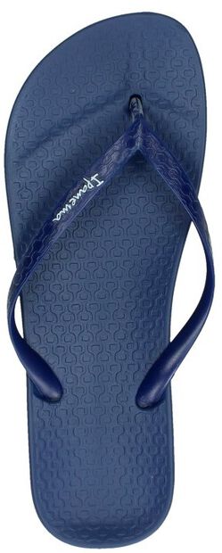 Anatomic Tan Colors - large