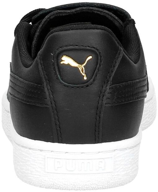 Basket Court Emboss - large